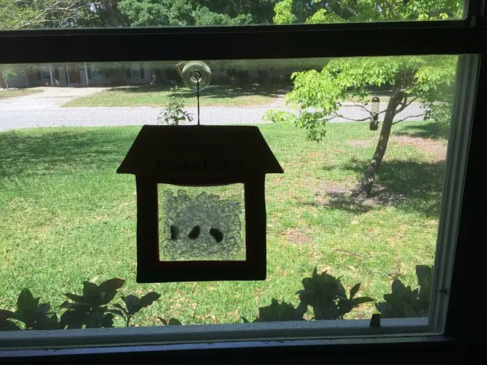 Write a Review Watch-It-Grow Window Greenhouse