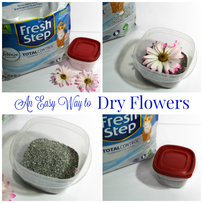 dry flowers