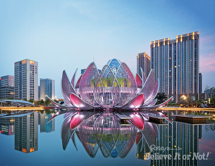 In Wujin, China, a unique government building takes its name and form from the lotus flower.