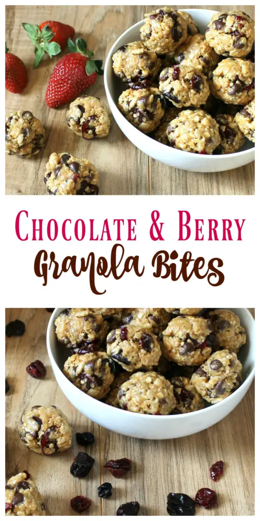Chocolate & Berry Granola Bites