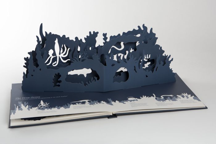 Midnight Creatures: A Pop-up Shadow Search Book