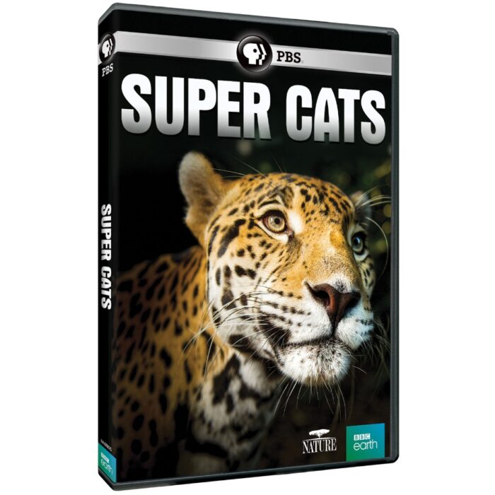 PBS Distribution Releasing Nature: Super Cats on DVD & Digital 