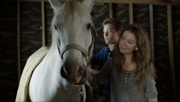 Pegasus: Pony with a Broken Wing arrives on DVD, Digital & On Demand