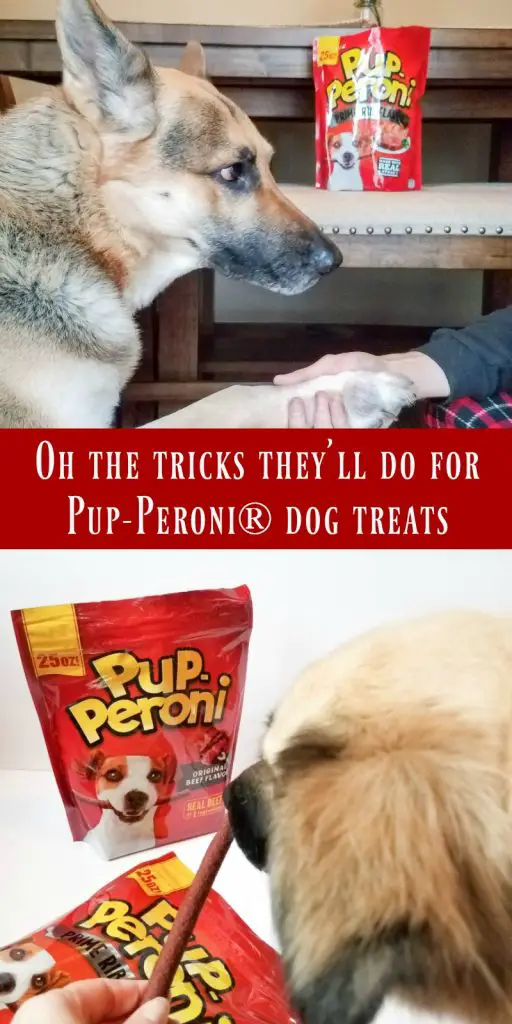 Doing Tricks for Pup-Peroni? Treats
