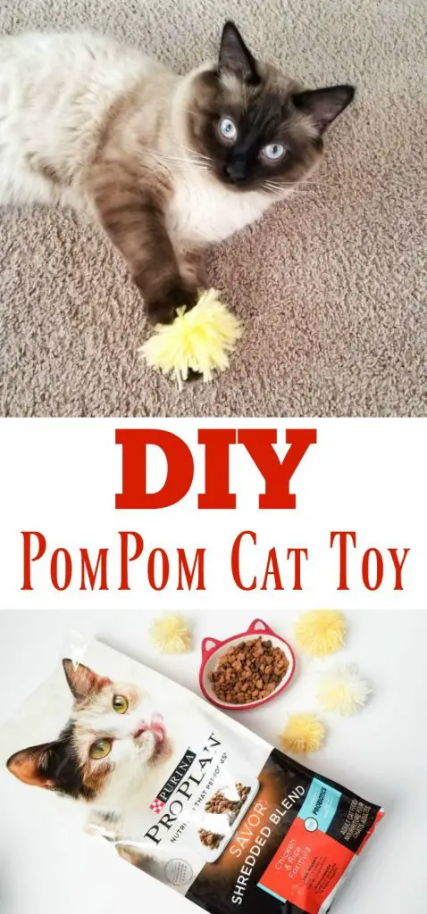 DIY PomPom Cat Toy