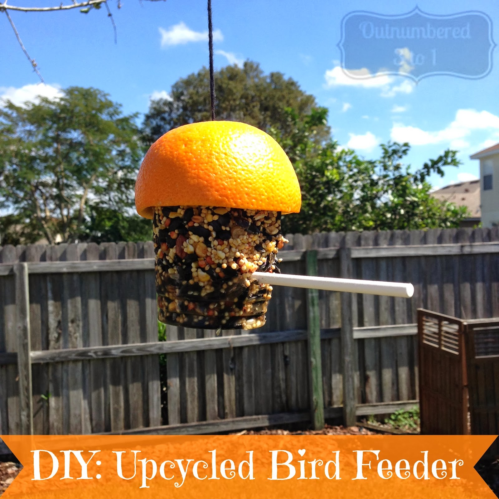 DIY Upcycled Bird Feeder