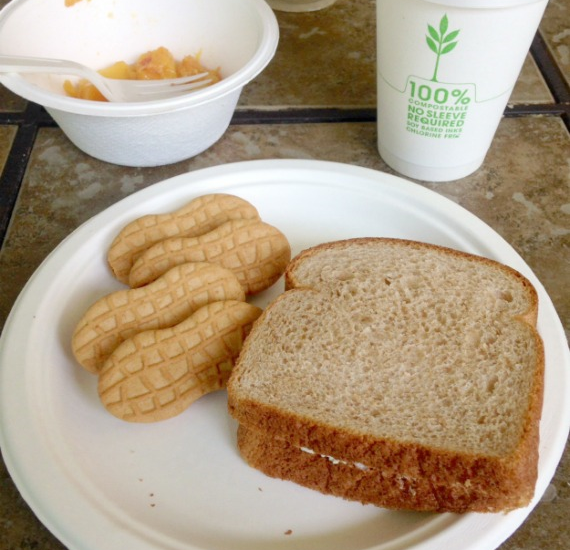 Repurpose Conpostables Tableware