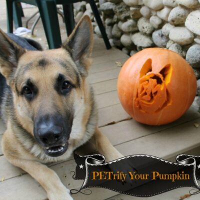 PETrify Your Pumpkin