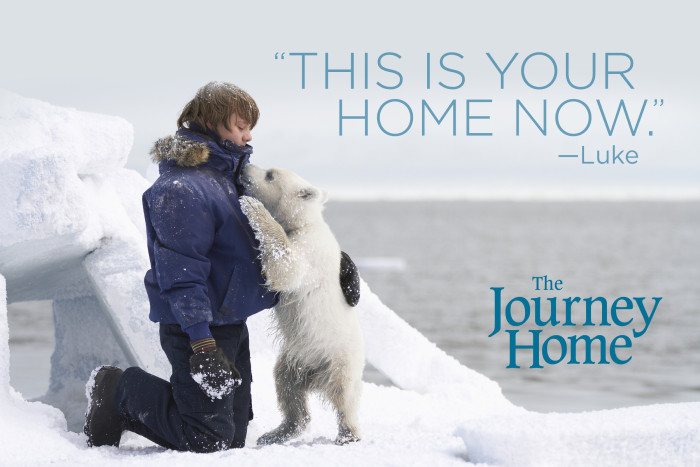 The Journey Home