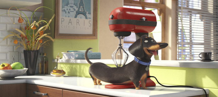 Happy Holidays from The Secret Life of Pets