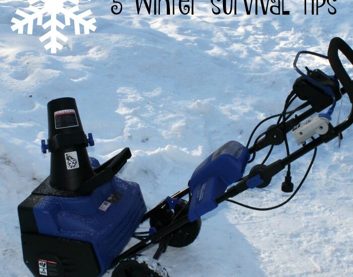 Winter Survival Tips