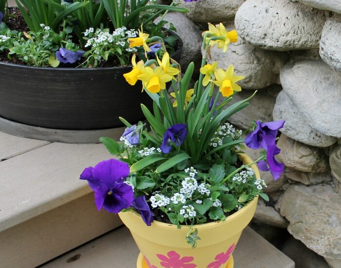 How to Plant Beautiful & Full Flower Pots