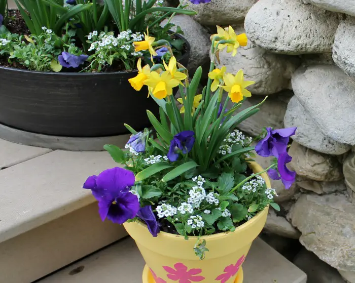 How to Plant Beautiful & Full Flower Pots