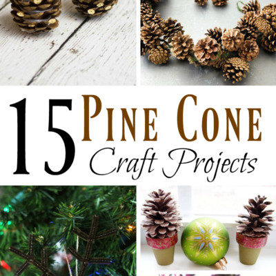 15 Pine Cone Craft Projects
