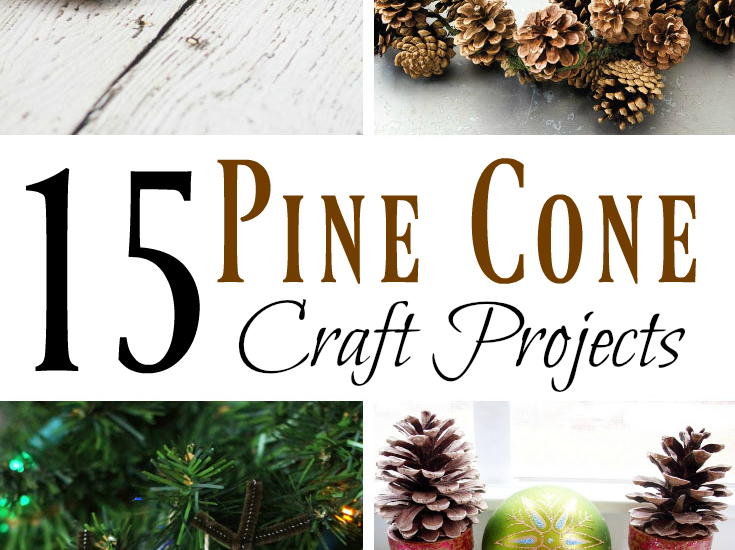 15 Pine Cone Craft Projects