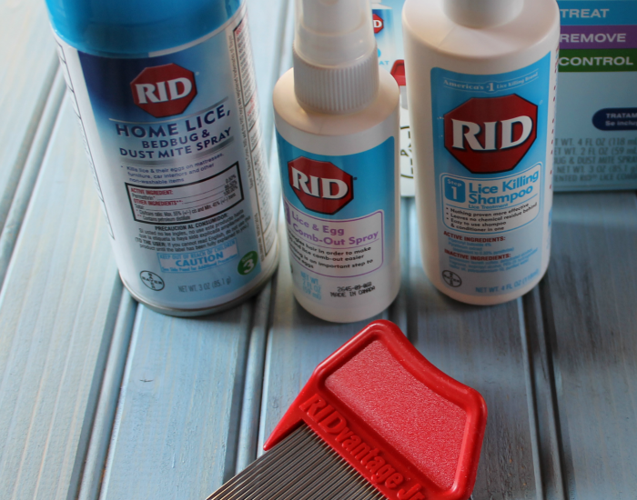5 Head Lice Facts