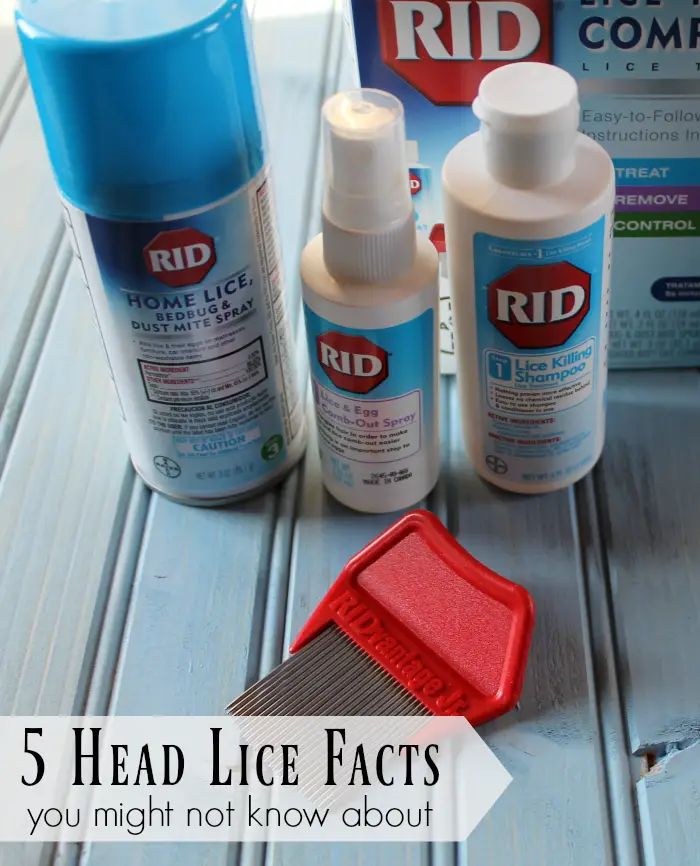 5 Head Lice Facts