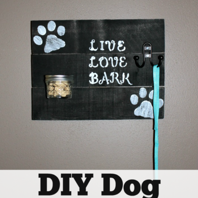 DIY Dog Leash and Treat Holder