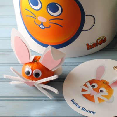 Halos Bunny Craft
