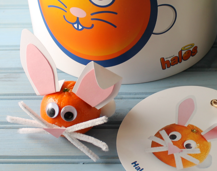 Halos Bunny Craft