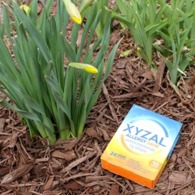 relieve allergy symptoms