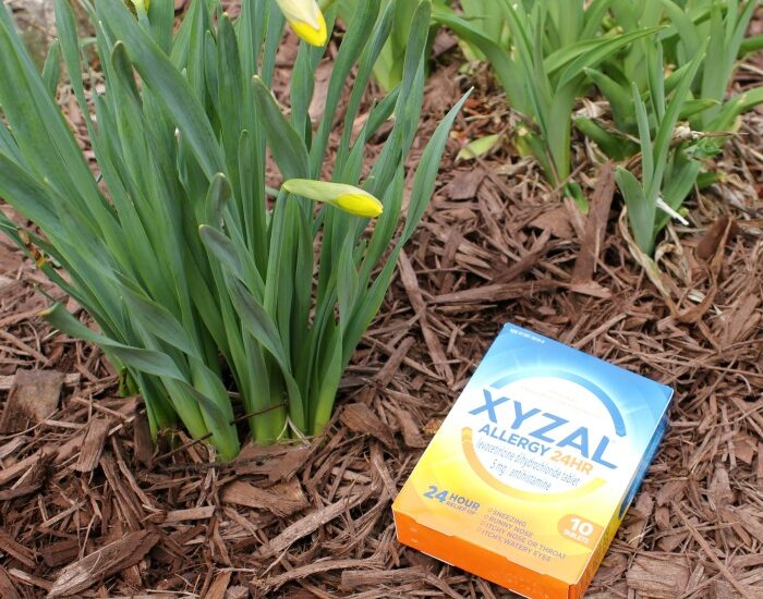 relieve allergy symptoms
