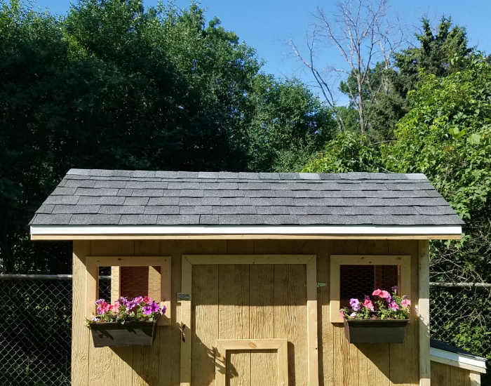 Roofing 101: Building a Chicken Coop
