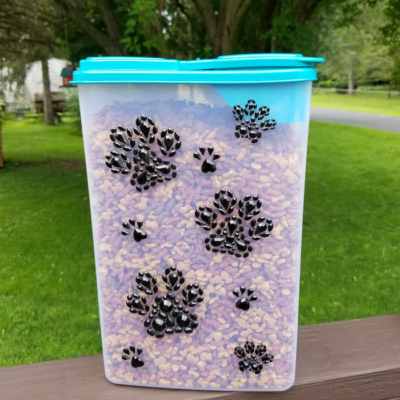 DIY Cat Food Container