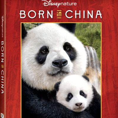 Disneynature Born in China