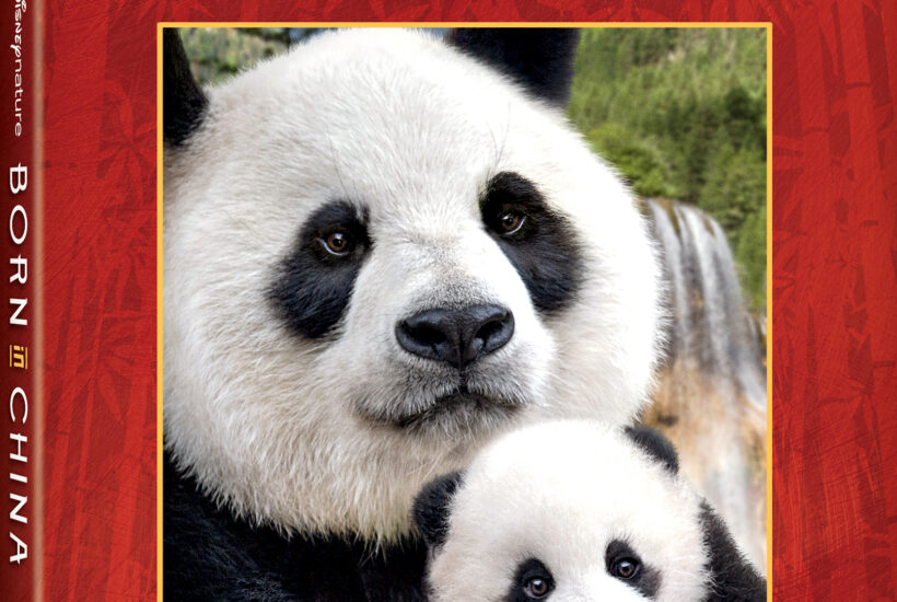 Disneynature Born in China