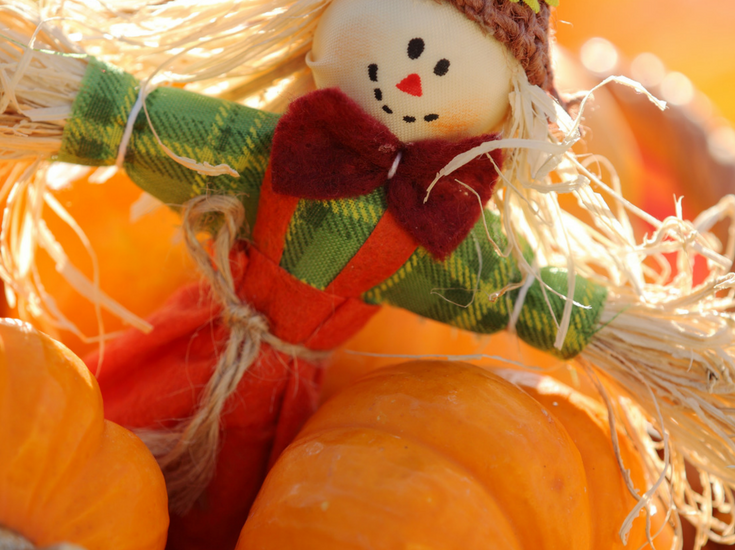 Cute Scarecrow Decorations