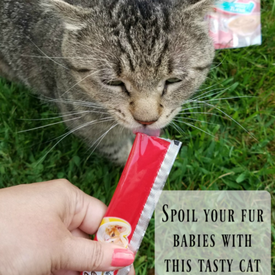Spoil Them with this Tasty Cat Treat - Hartz Delectables SqueezeUp