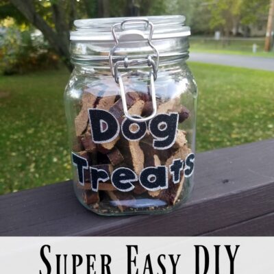 DIY Dog Treats Container