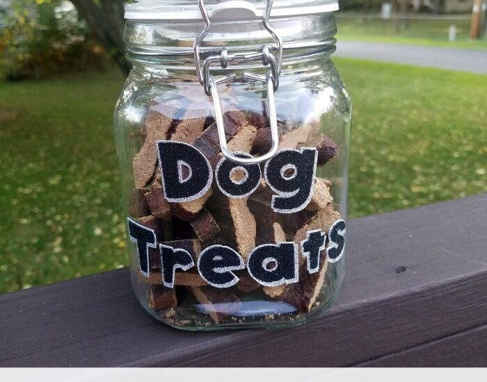 DIY Dog Treats Container
