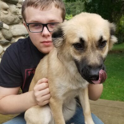 Introducing New Food to your Dog