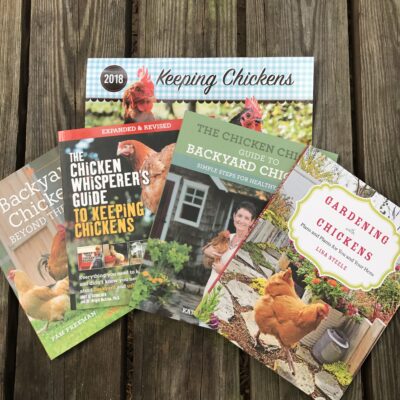 Keeping Chickens