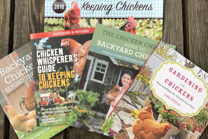 Keeping Chickens