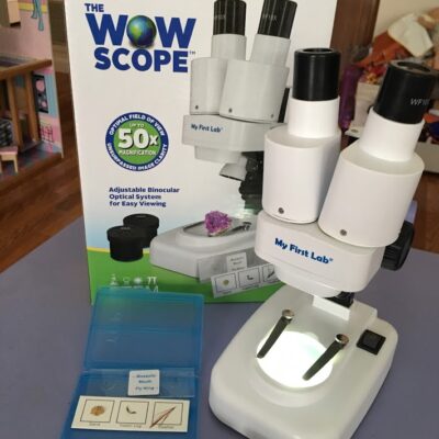 Encourage a Child's Love of Science With My First Lab's Microscopes