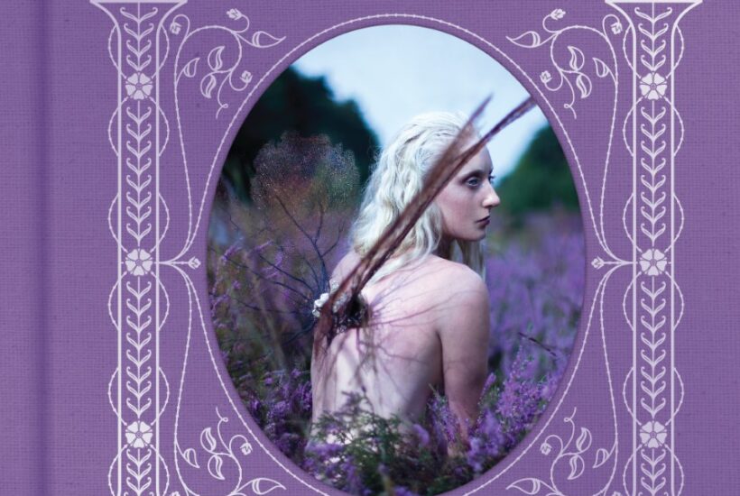 THE FAERIE HANDBOOK by Carolyn Turgeon / On Sale: November 14, 2017