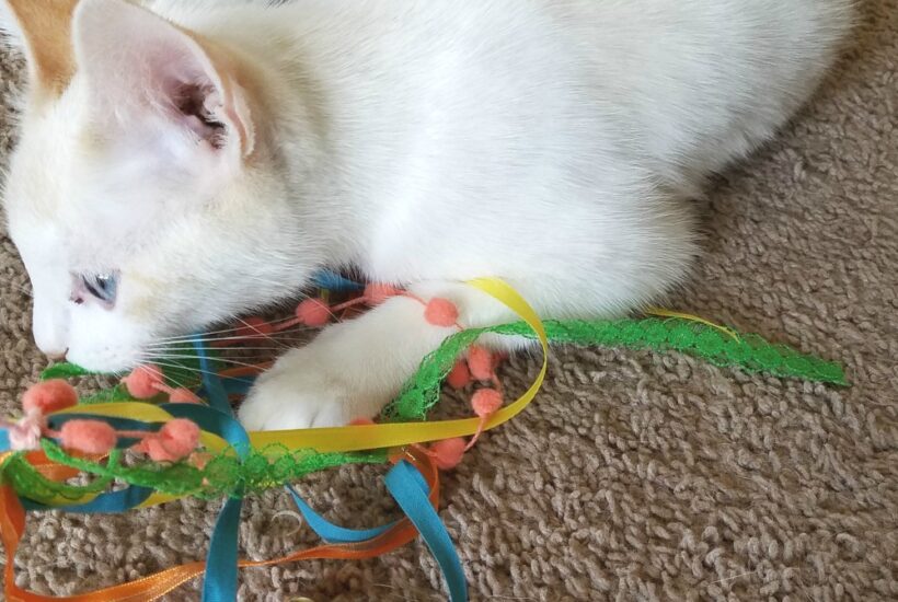DIY Cat Ribbon Wand Toy