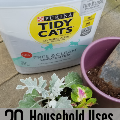 Household Uses for Cat Litter