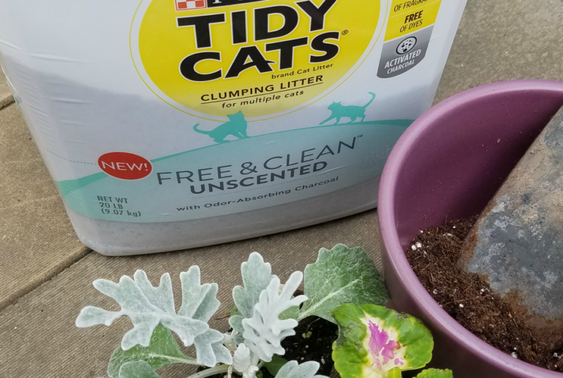 Household Uses for Cat Litter