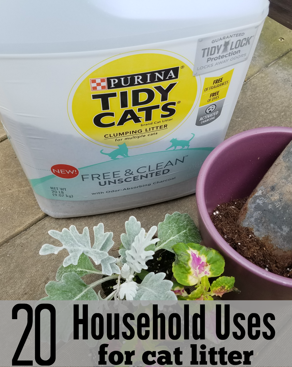Household Uses for Cat Litter