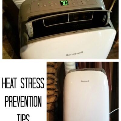 Heat Stress Prevention Tips