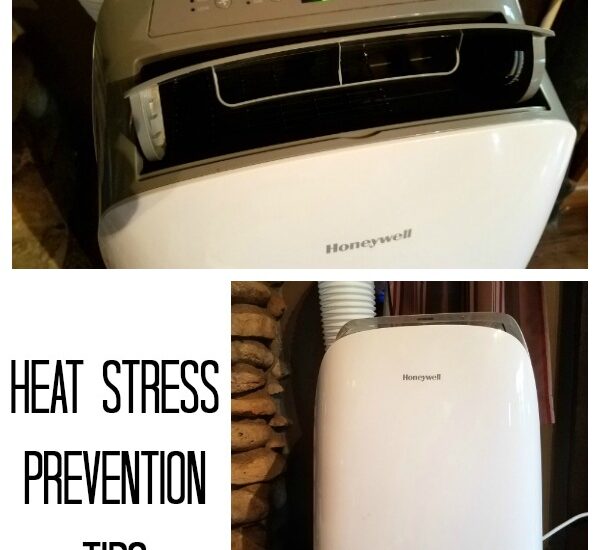 Heat Stress Prevention Tips