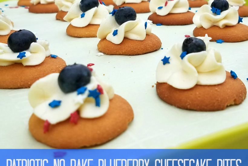Patriotic No Bake Blueberry Cheesecake Bites