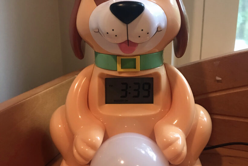 Big Red TRooster
