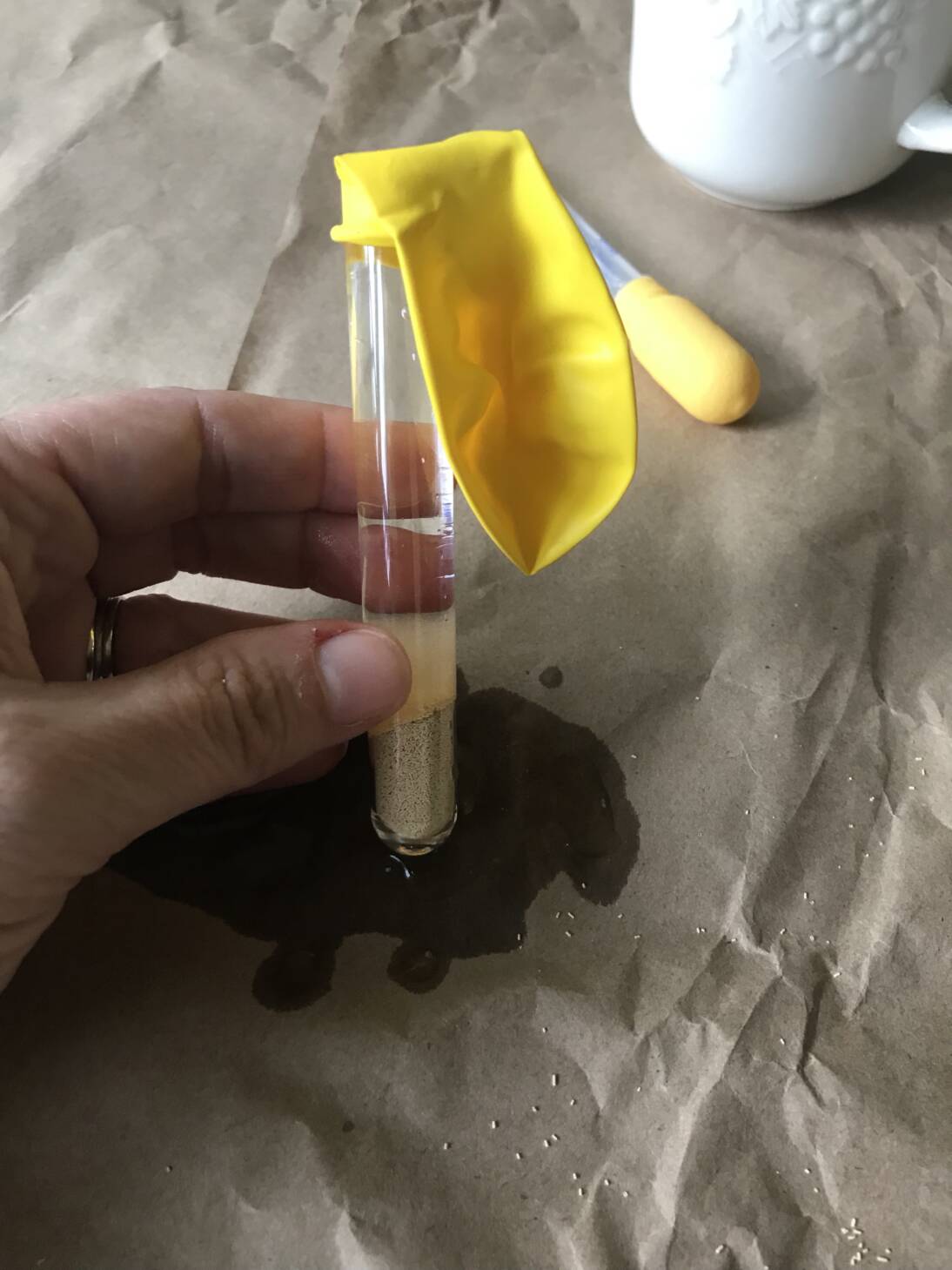 The Magic School Bus