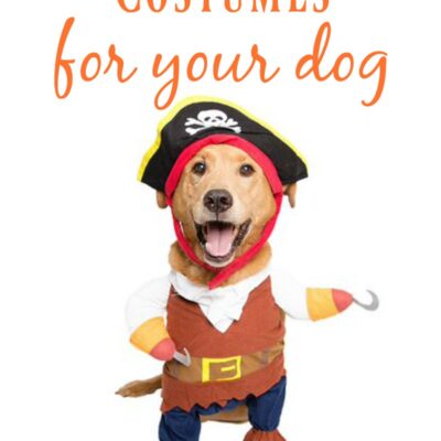 Funny Dog Halloween Costumes