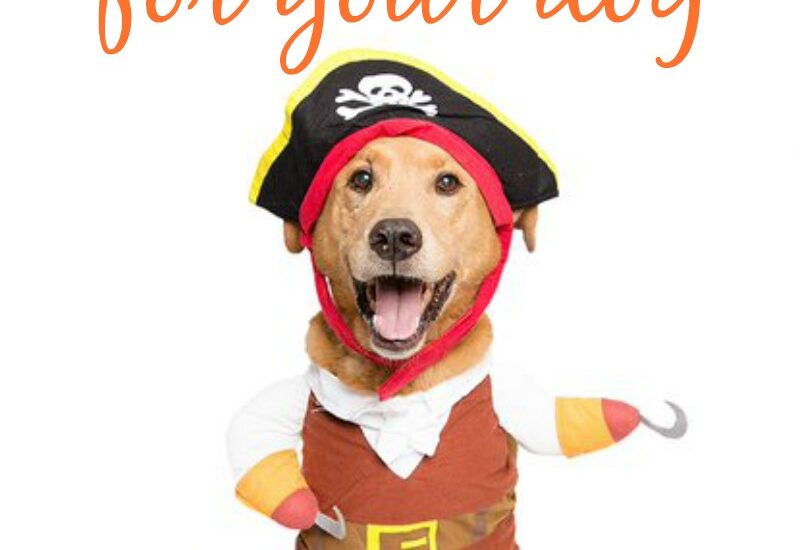 Funny Dog Halloween Costumes